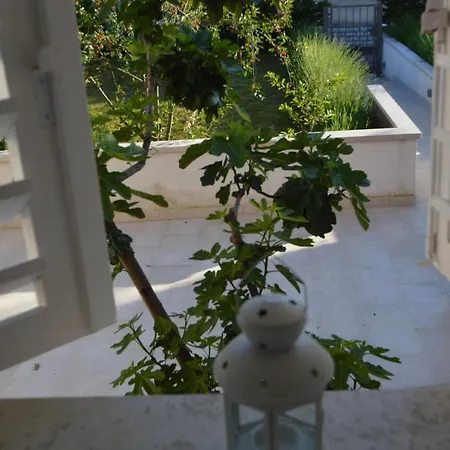 Lucija Apartment