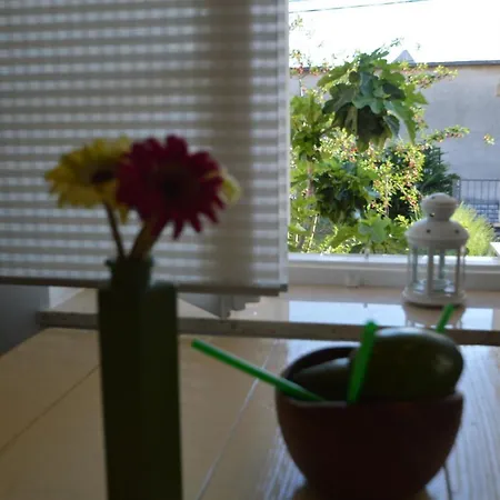 Apartment Lucija Novi Vinodolski